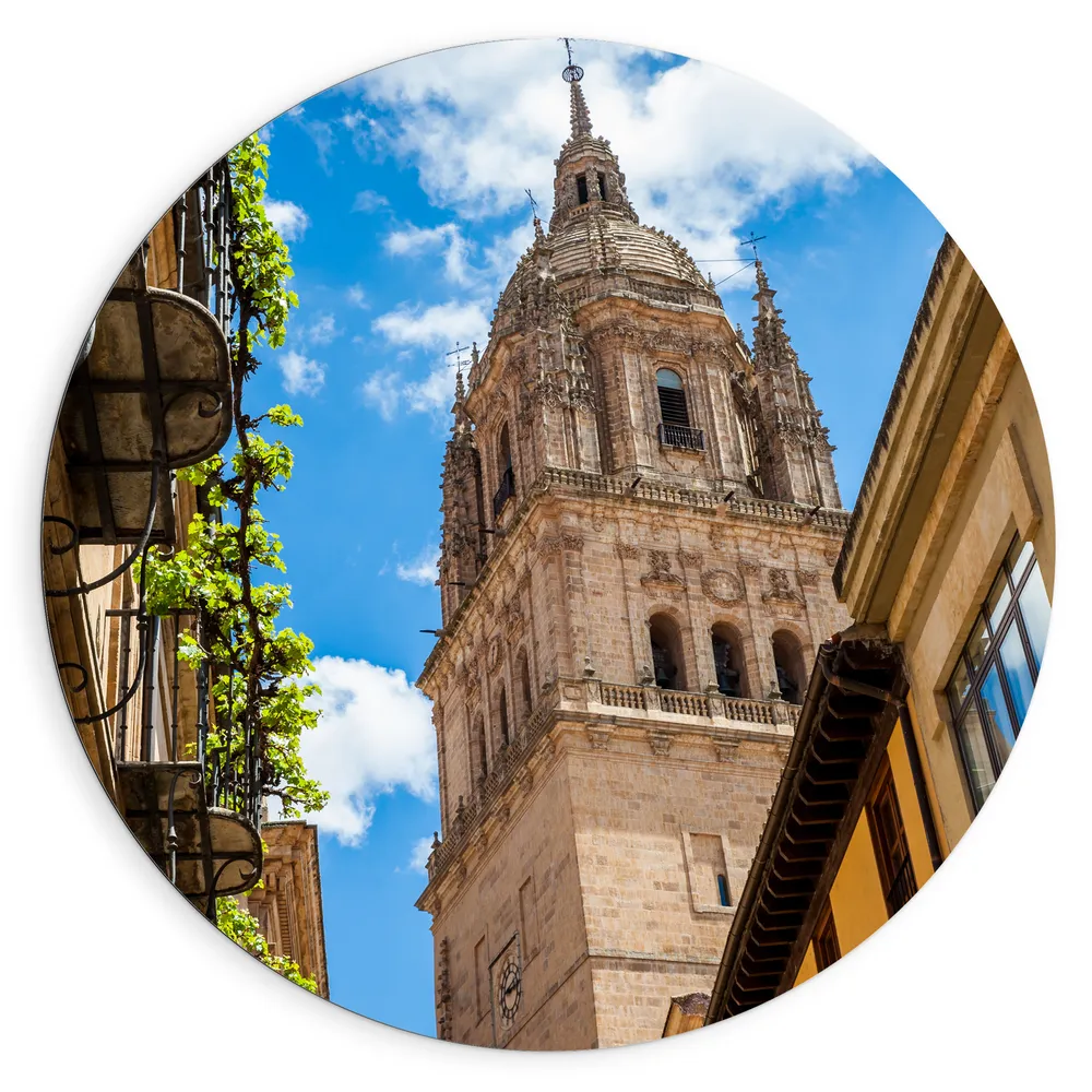 Dibond Muurcirkel - Kathedraal - Stad - Gebouw