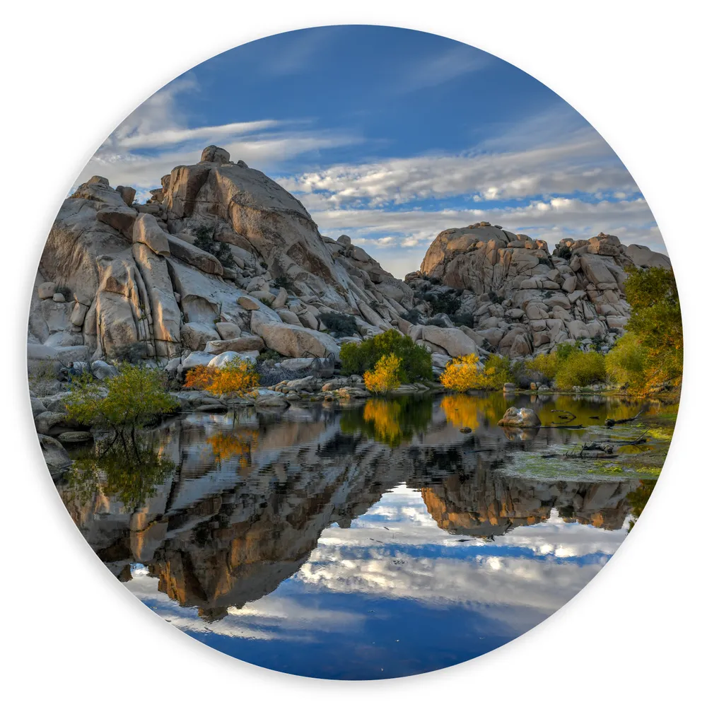 Dibond Muurcirkel - Rotsen aan het Water bij Joshua Tree National Park overdag