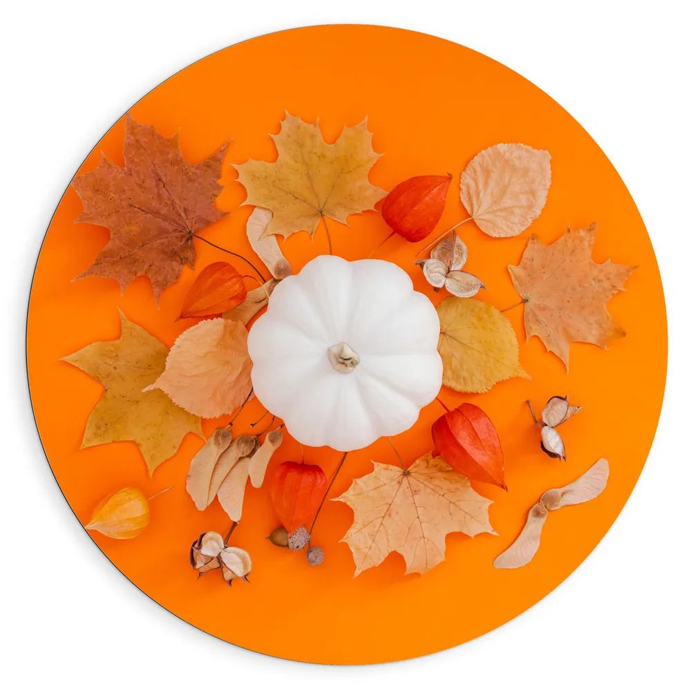 Dibond Muurcirkel - Herfst Compositie van Bladeren en Pompoen