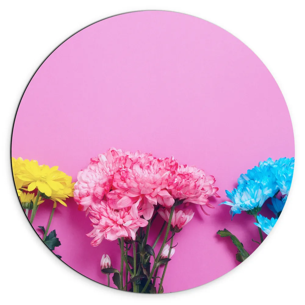 Dibond Muurcirkel - Gele, Roze en Blauwe Bloemboeketten tegen Felroze Achtergrond