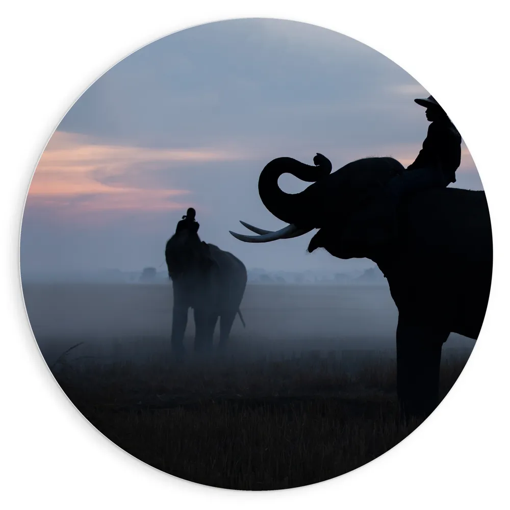 Dibond Muurcirkel - Vietnamees Rijdend op Olifant in Landschap