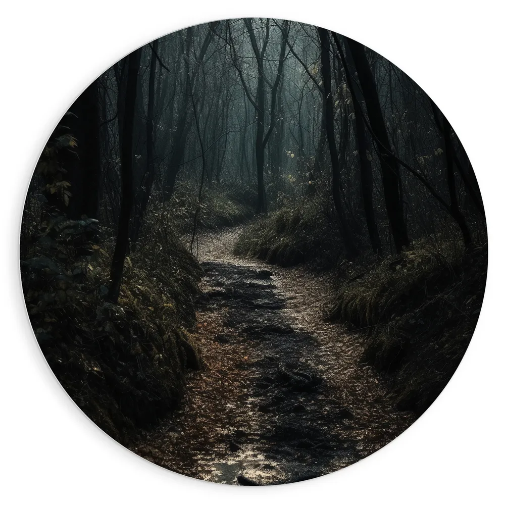 Dibond Muurcirkel - Bos - Bomen - Pad - Donker - Bladeren