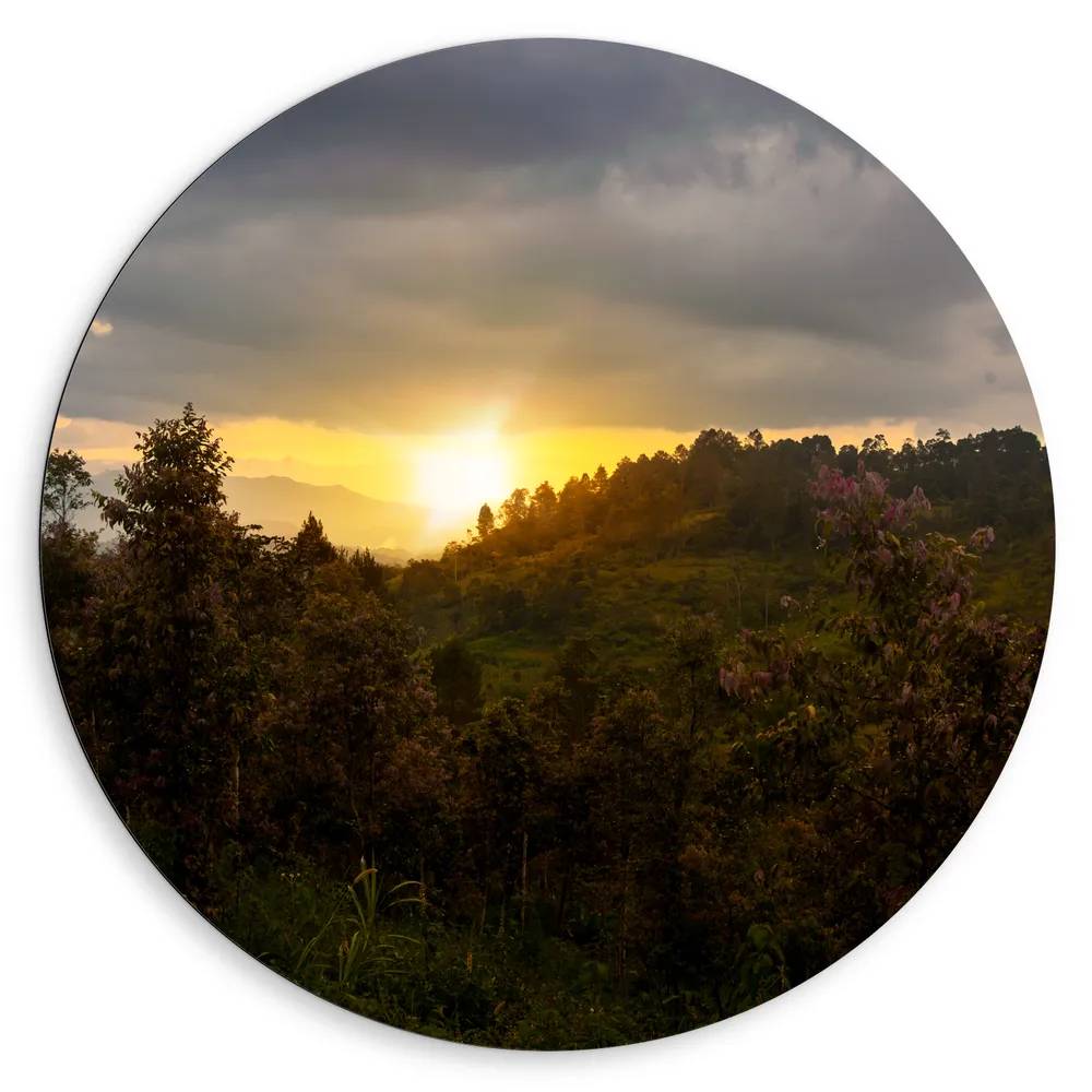Dibond Muurcirkel - Zon - Zonsondergang - Bloemen - Bomen - Berg