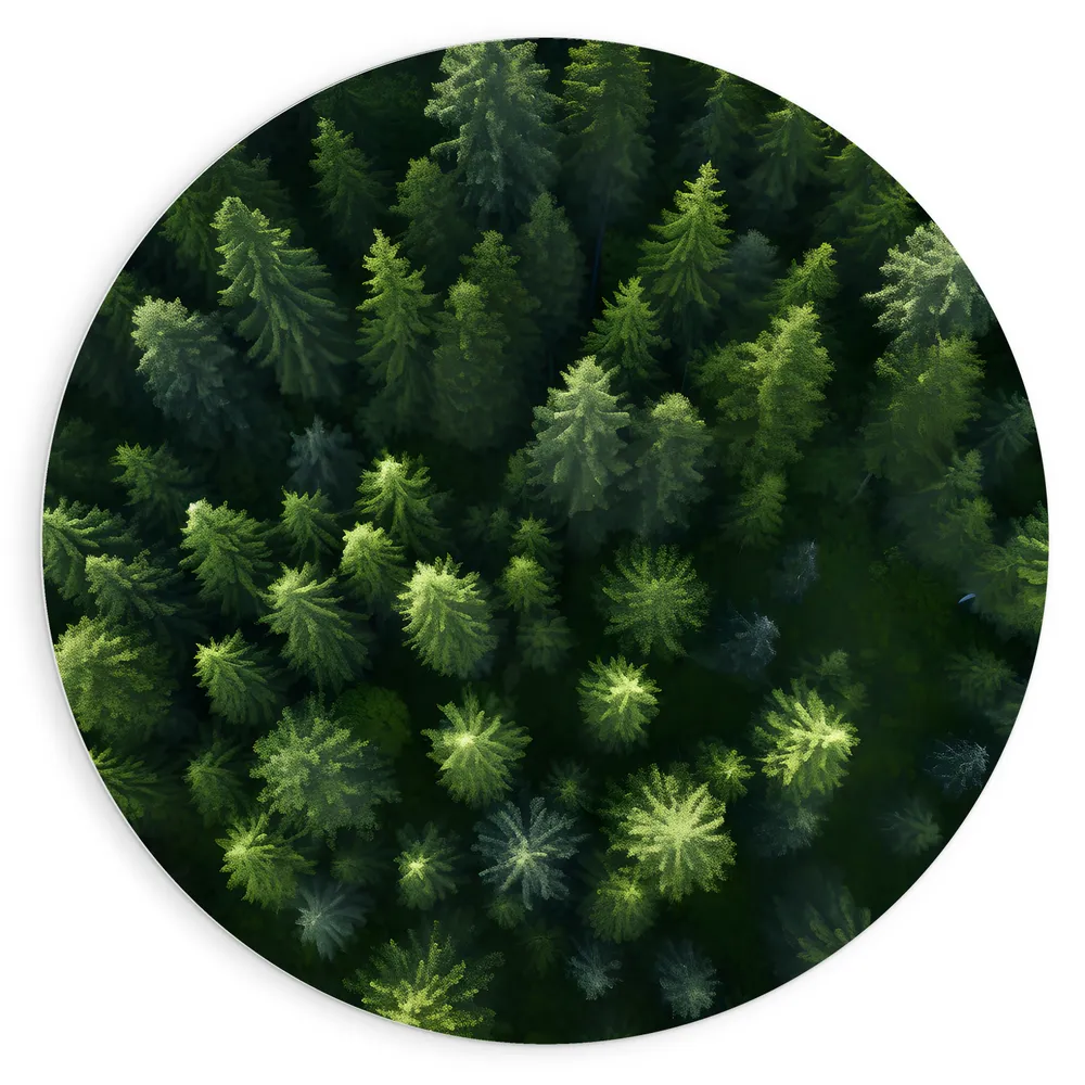 Dibond Muurcirkel - Bovenaanzicht - Groen - Bomen