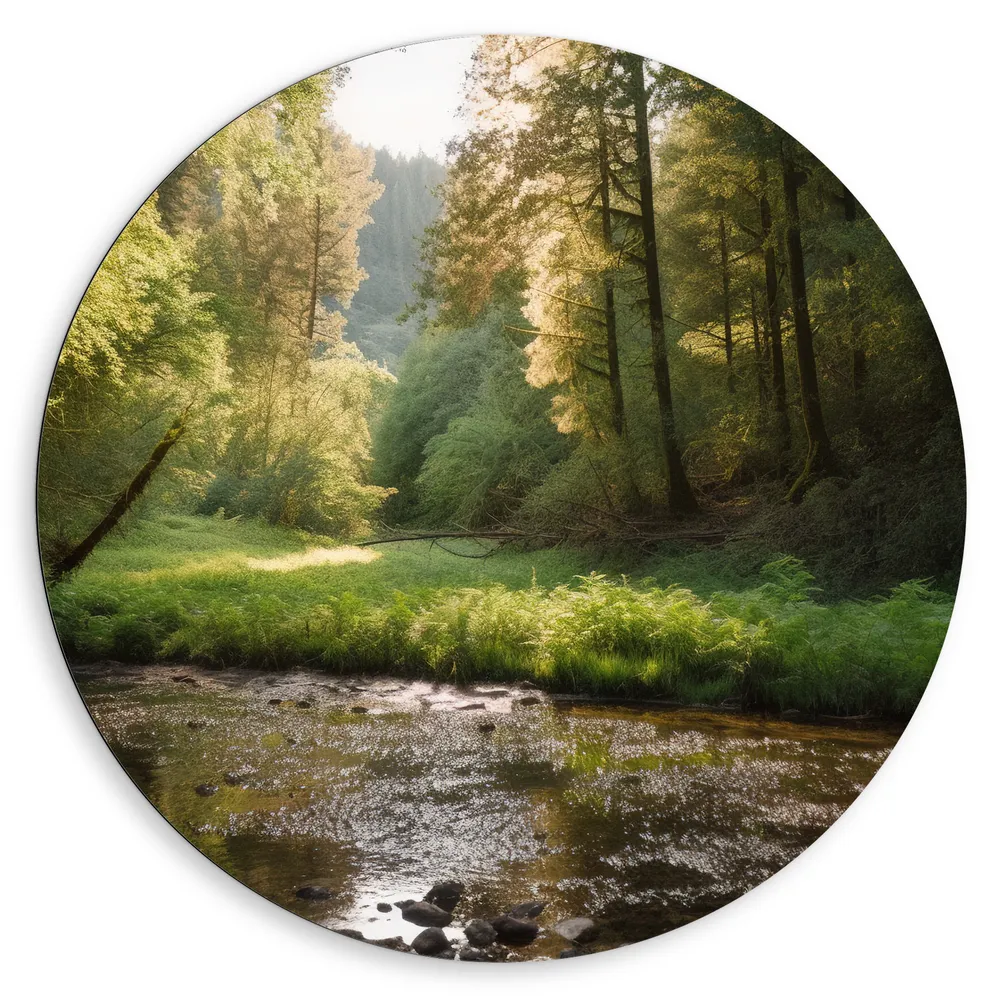 Dibond Muurcirkel - Bos - Natuur - Water - Beekje - Stenen - Bomen