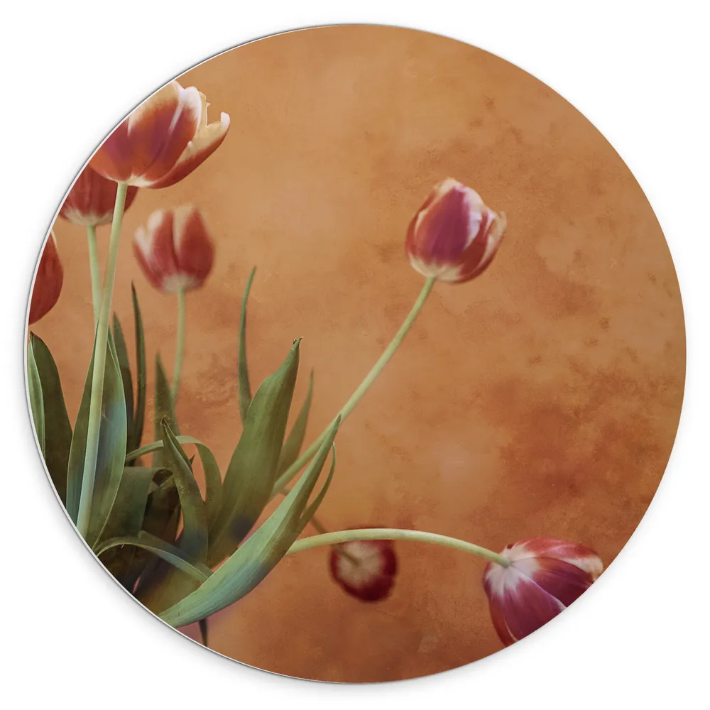 Dibond Muurcirkel - Geel - Rode Tulpen in Vaas tegen Bruin Gevlekte Muur