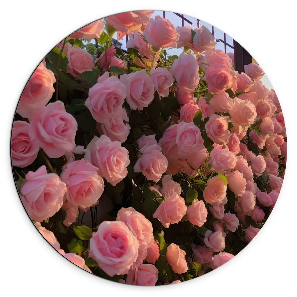 Dibond Muurcirkel - Bloemen - Muur - Rozen - Roze