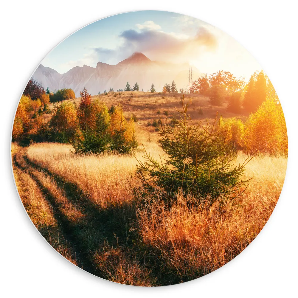 Dibond Muurcirkel - Felle Zon over Landschap met Oranje Bomen en Droge Grassen