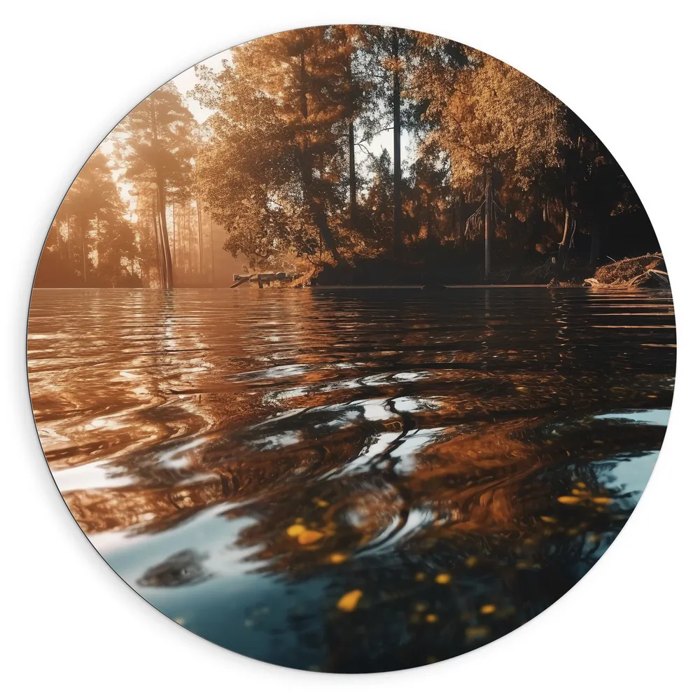 Dibond Muurcirkel - Meer - Water - Bomen - Zonlicht