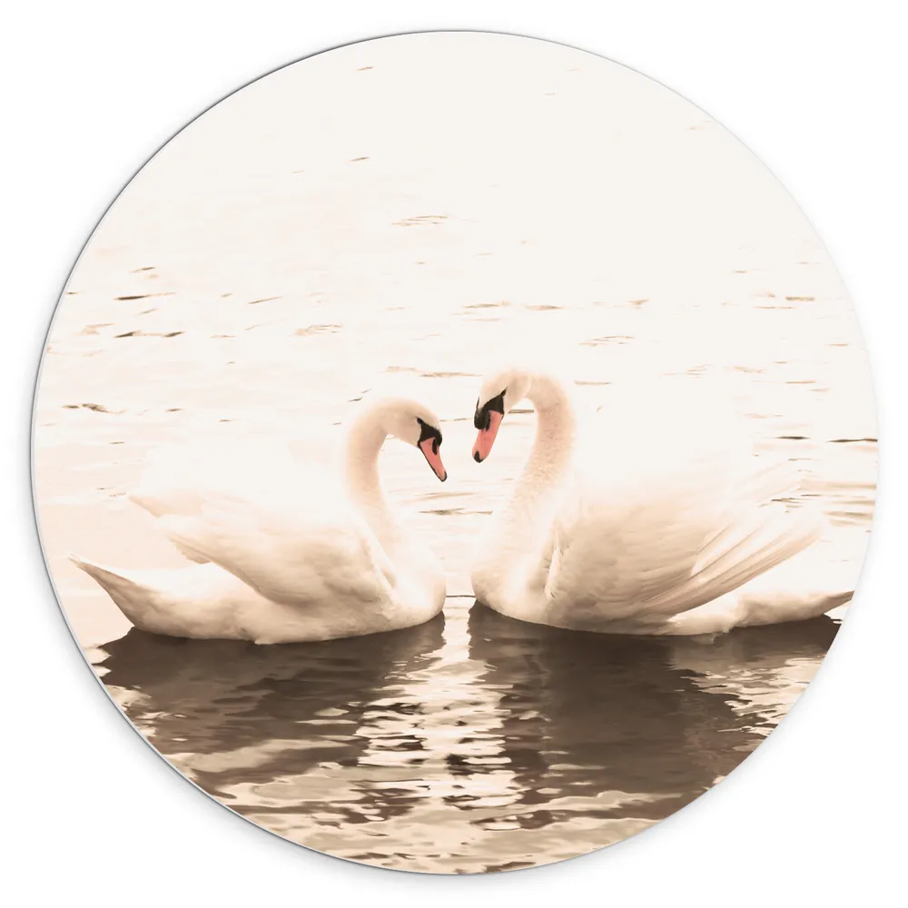 Dibond Muurcirkel - Duo Zwanen als Symbool van de Liefde