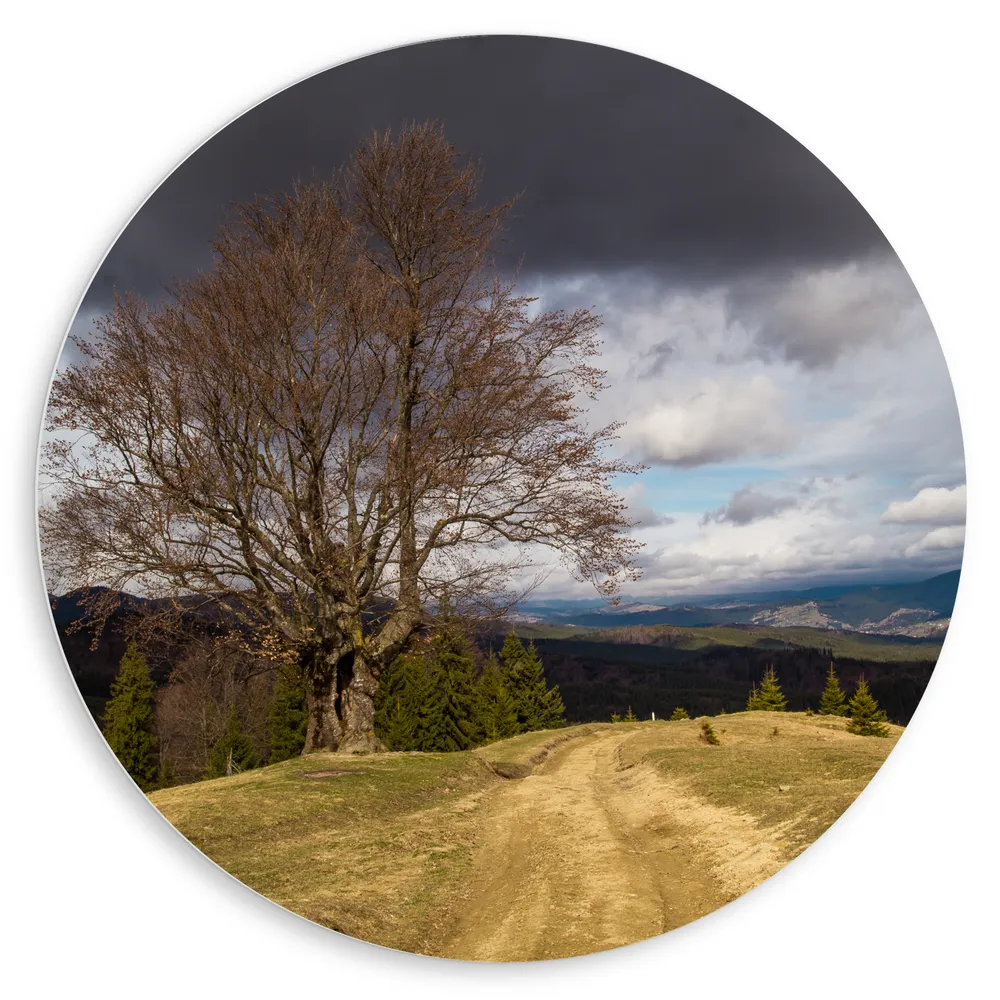 Dibond Muurcirkel - Landschap - Bergen - Bomen - Gras