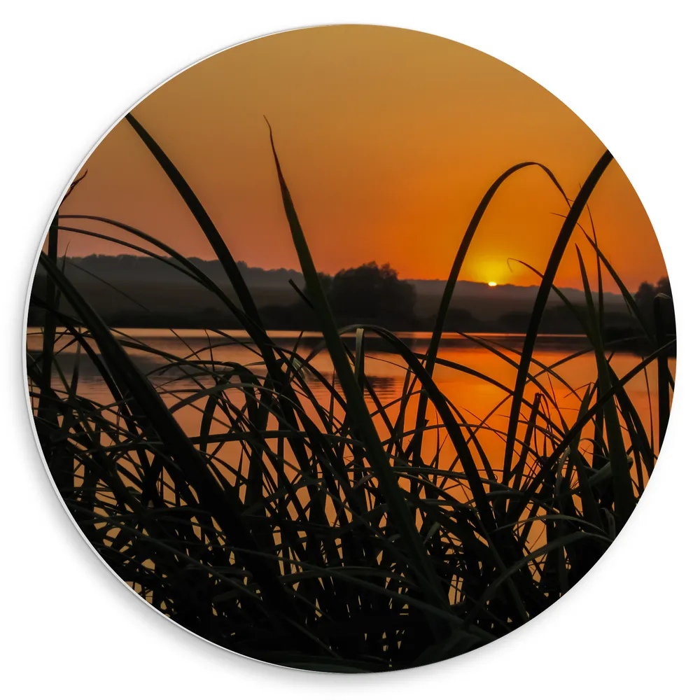 Dibond Muurcirkel - Hoge Grassen aan de Rand van het Water tijdens Zonsondergang