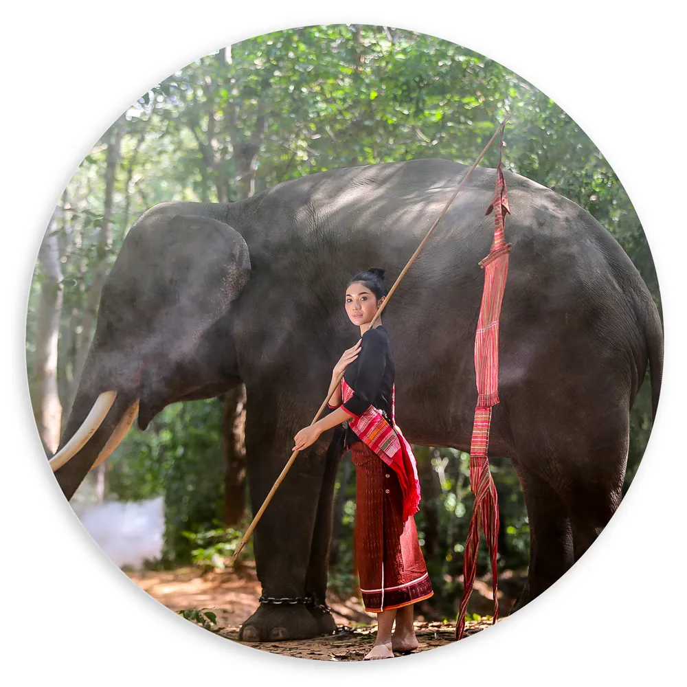 Dibond Muurcirkel - Aziatische Vrouw bij Olifant in het Bos