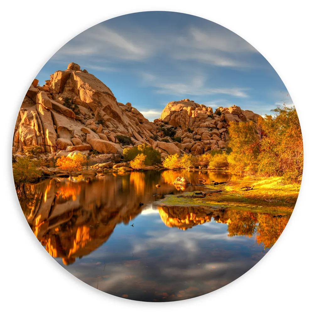 Dibond Muurcirkel - Rotsen aan het Water bij Joshua Tree National Park