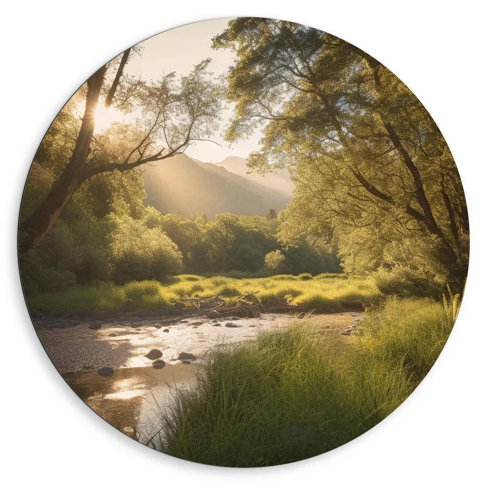 Dibond Muurcirkel - Zon - Bos - Bomen - Water