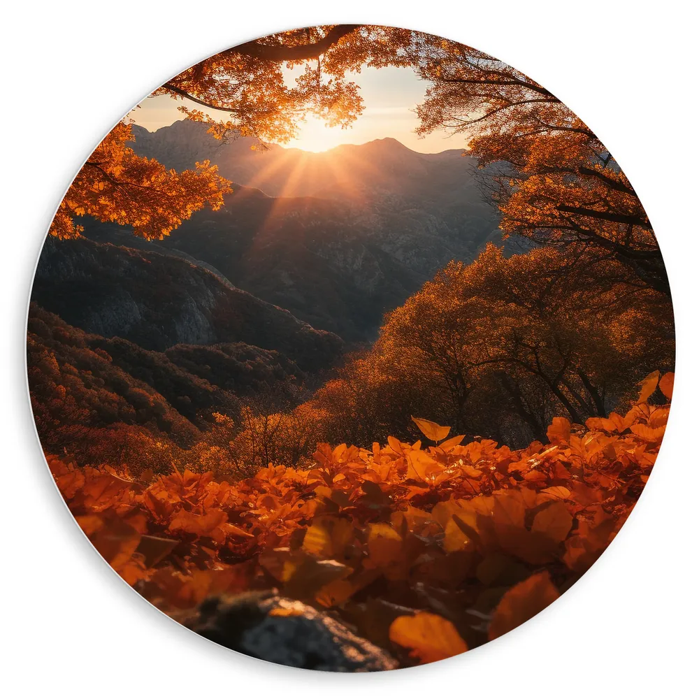 Dibond Muurcirkel - Bergen - Zon - Bomen - Bos - Herfst