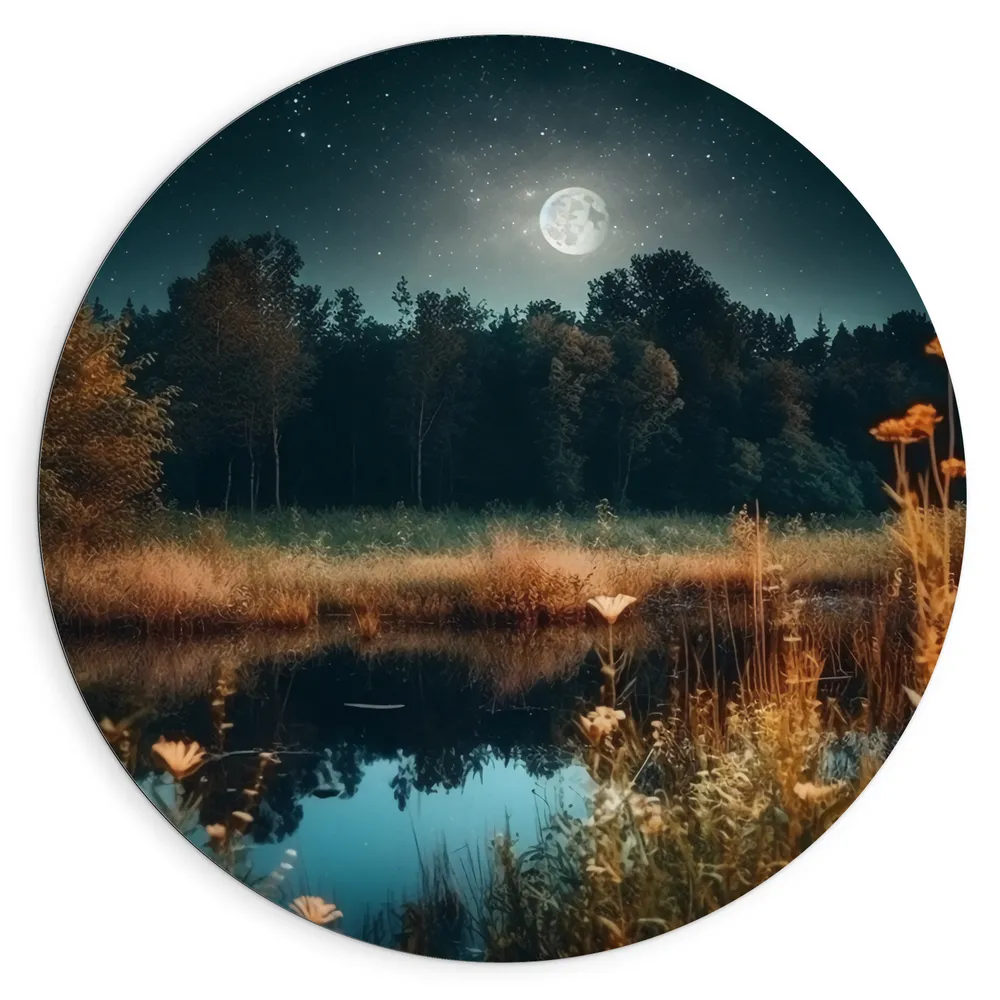 Dibond Muurcirkel - Landschap - Maan - Sterren - Water - Bloemen - Planten - Nacht  - Bomen