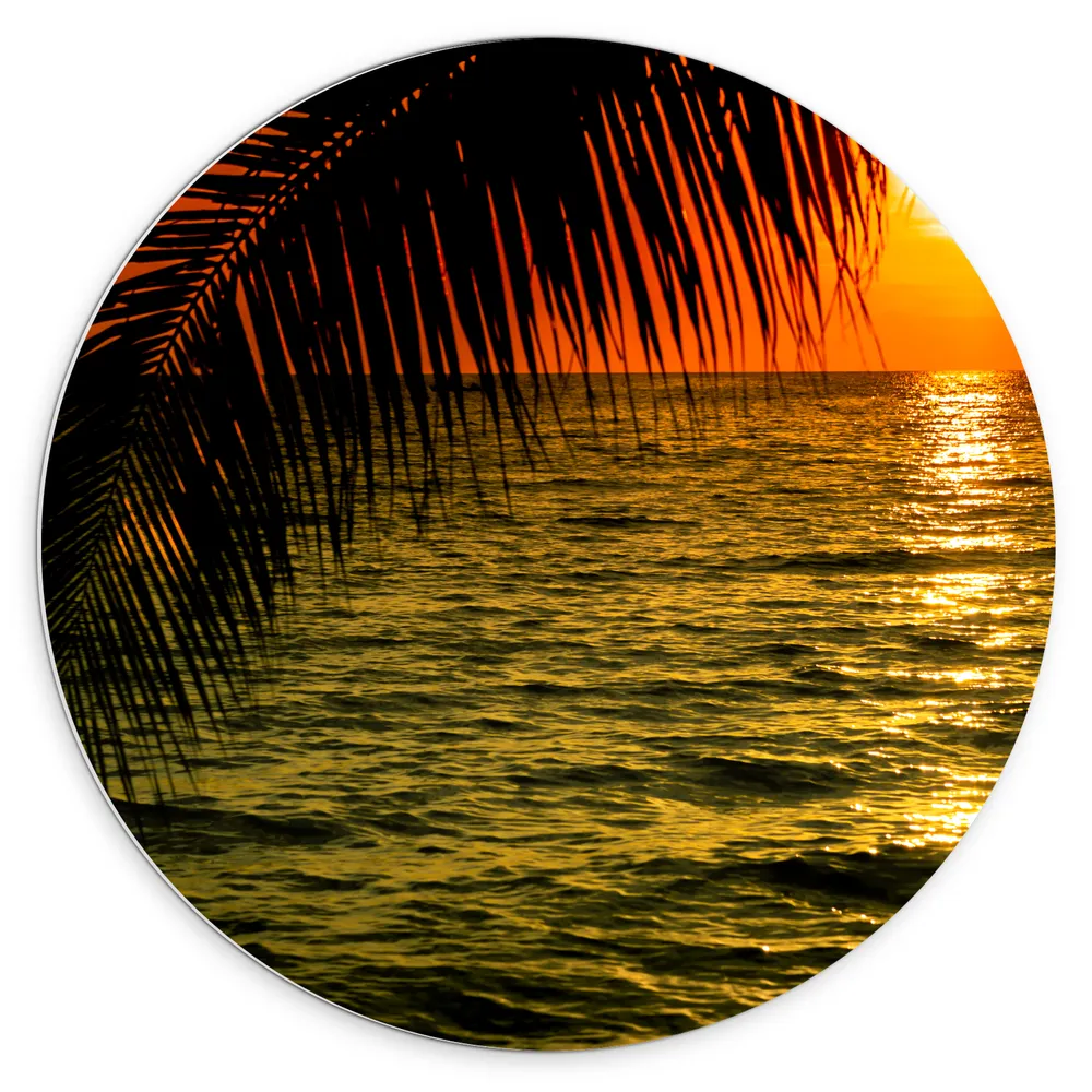 Dibond Muurcirkel - Silhouet van Palmbladeren hangend boven de Zee tijdens Zonsondergang