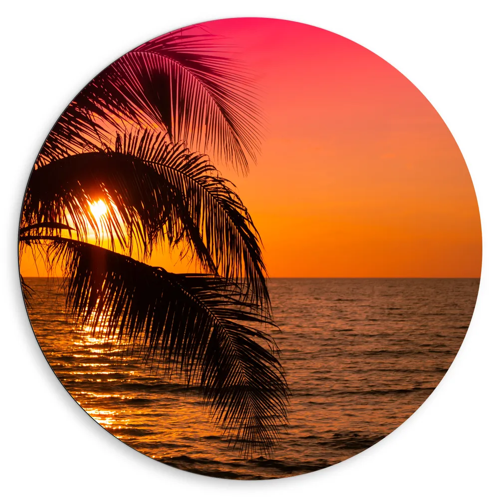 Dibond Muurcirkel - Tropische Zonsondergang met Palmboom
