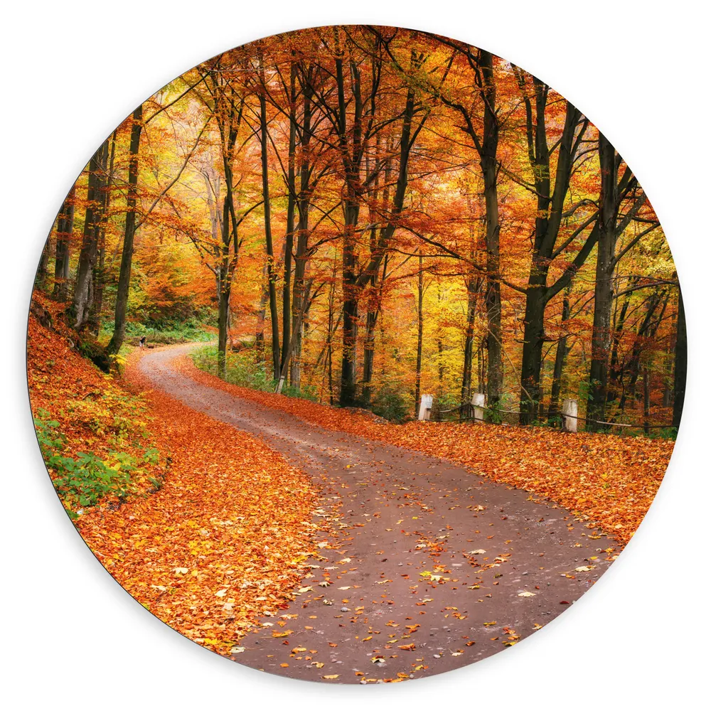 Dibond Muurcirkel - Bospad door Herfstbos vol met Herfstkleuren