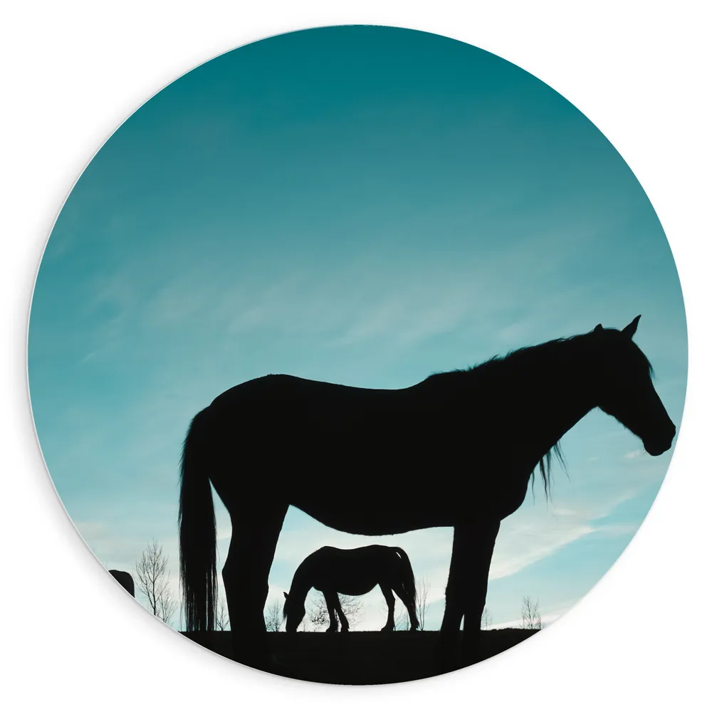 Dibond Muurcirkel - Silhouet van Paarden in het Weiland onder Lichtblauwe Lucht