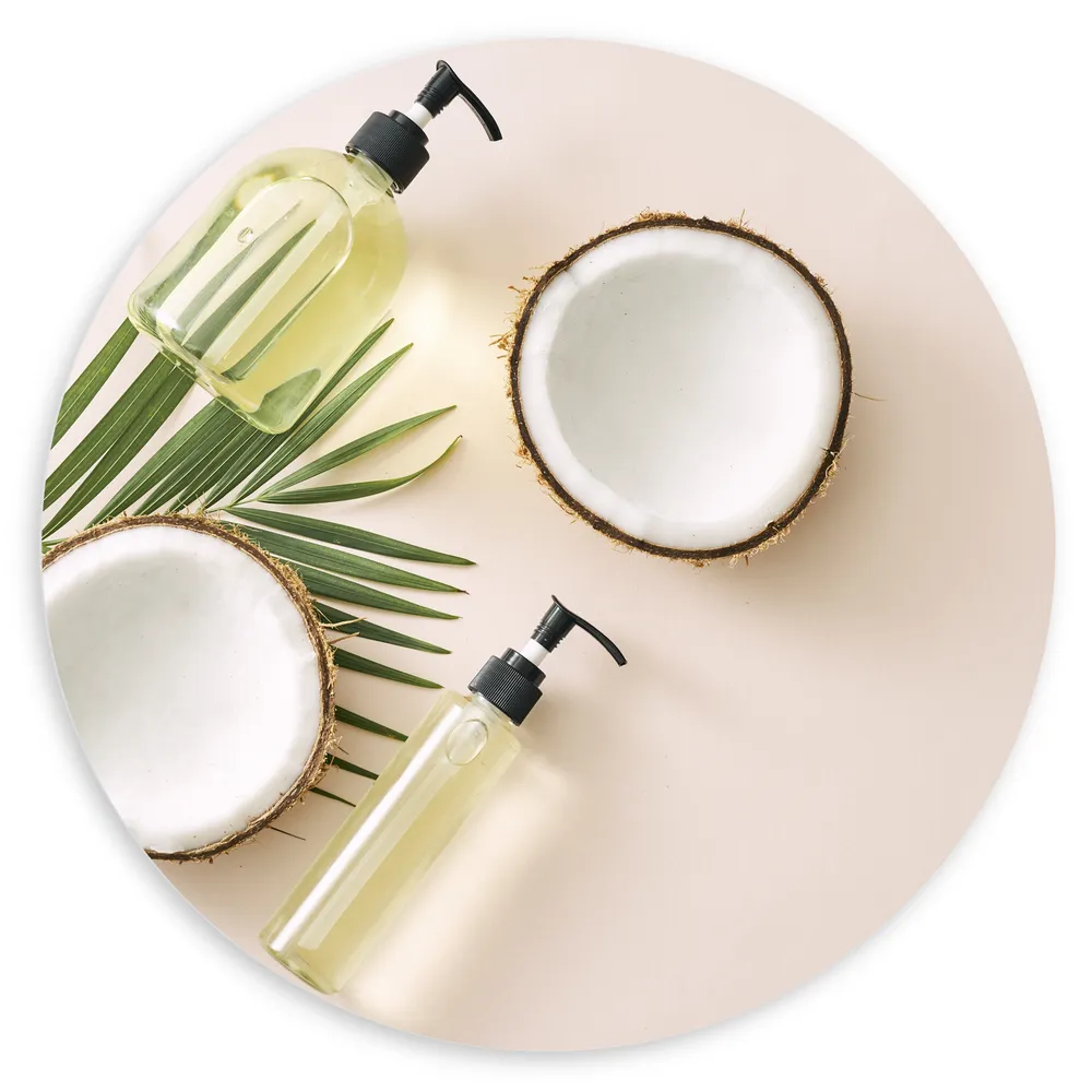 Dibond Muurcirkel - Cosmetica Flesjes met Palmblad en Kokosnoten