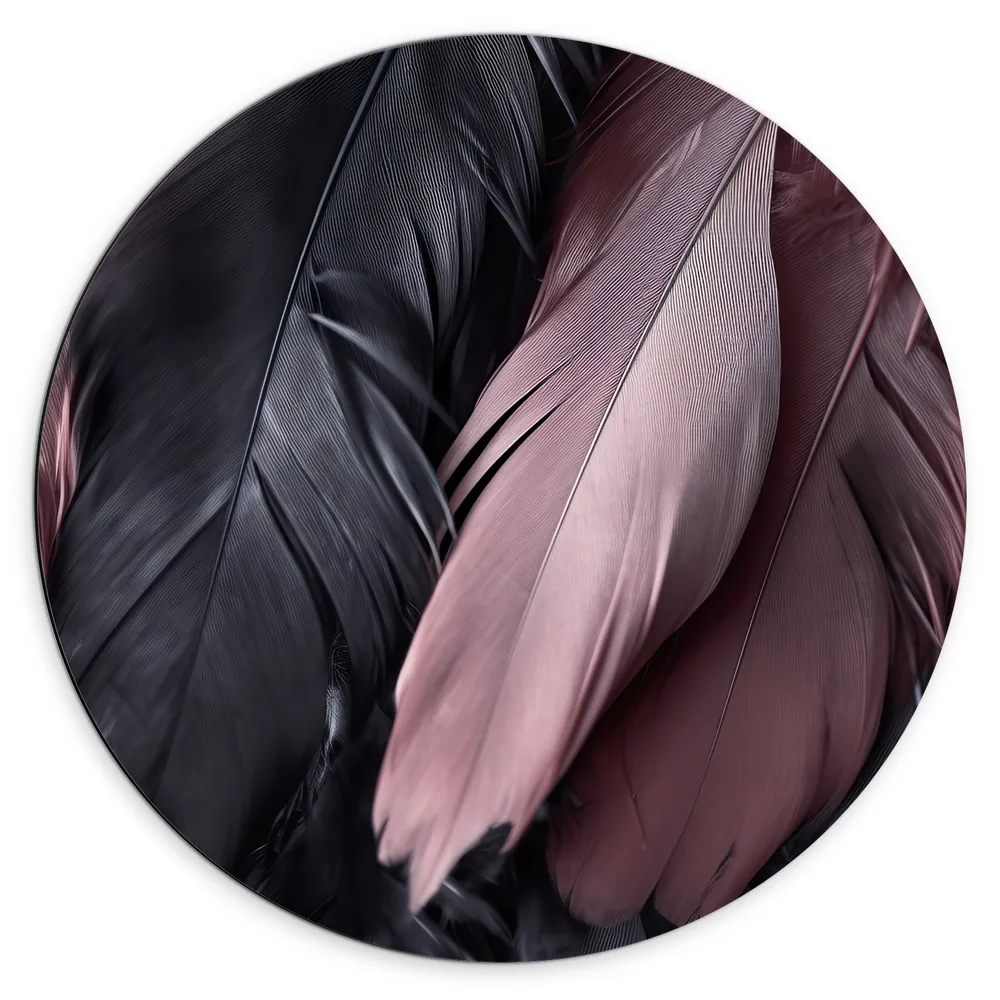 Dibond Muurcirkel - Veren - Zwart - Roze