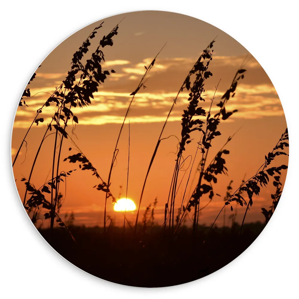 Dibond Muurcirkel - Zonsondergang in het Weiland
