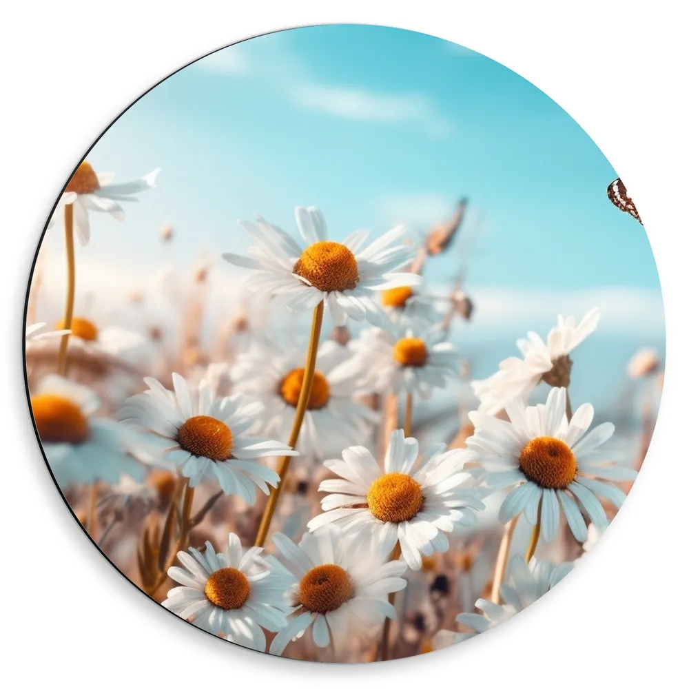 Dibond Muurcirkel - Bloemen - Vlinder - Madeliefjes