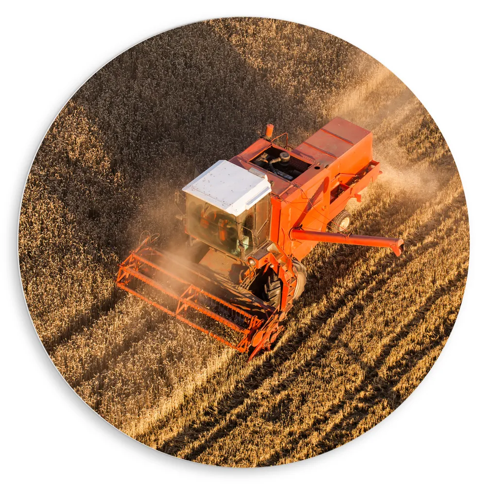 Dibond Muurcirkel - Uitzicht op Maaiwagen aan het Werk op Graanveld