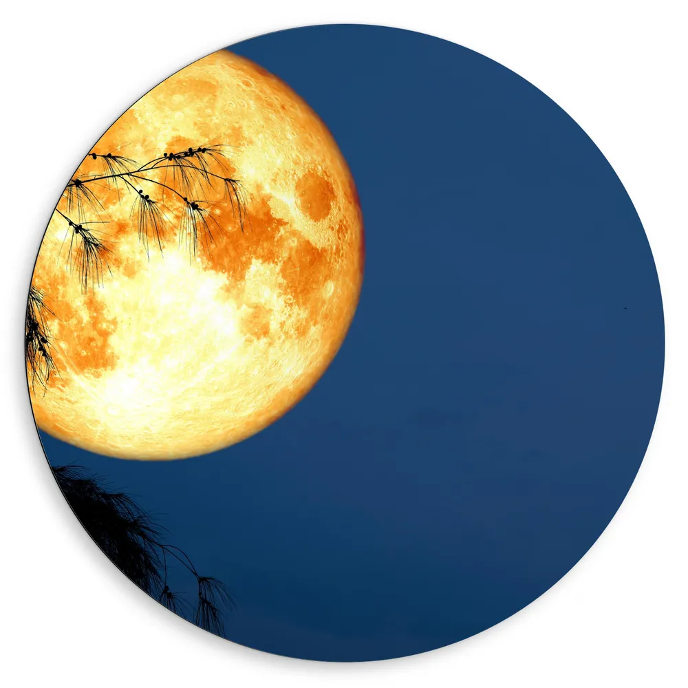 Dibond Muurcirkel - Maan met Oranje Gloed achter Silhouet van Hoge Boom
