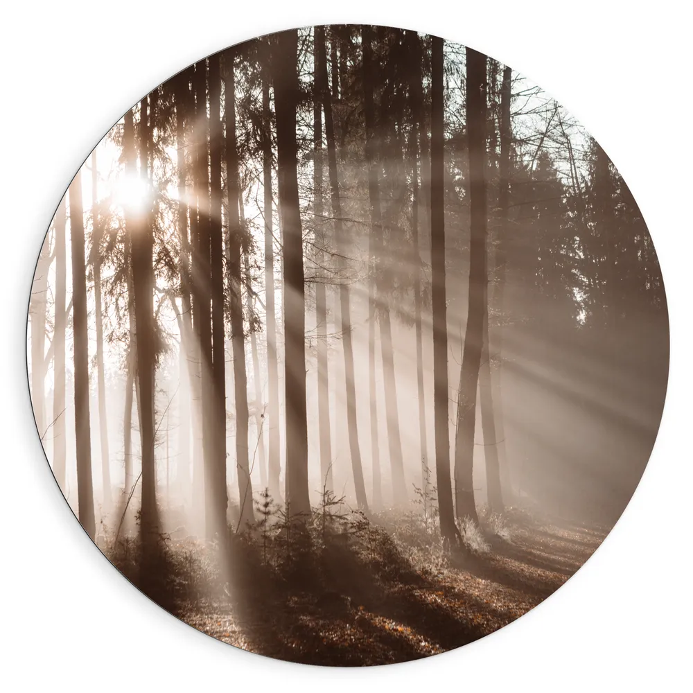Dibond Muurcirkel - Zonnestralen die Schijnen door de Bomen heen in de Herfst