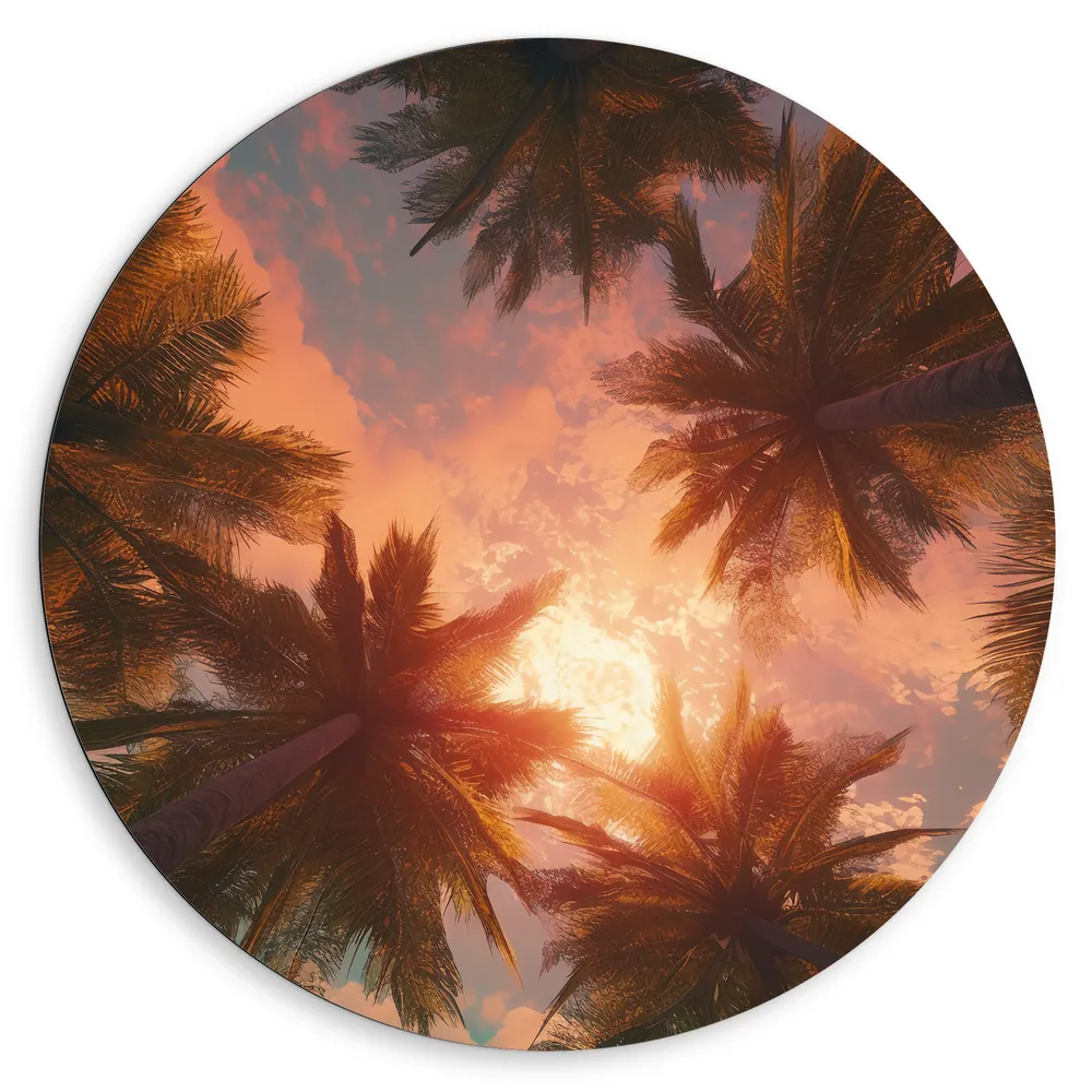 Dibond Muurcirkel - Palmbomen - Kleuren - Onderaanzicht - Zon