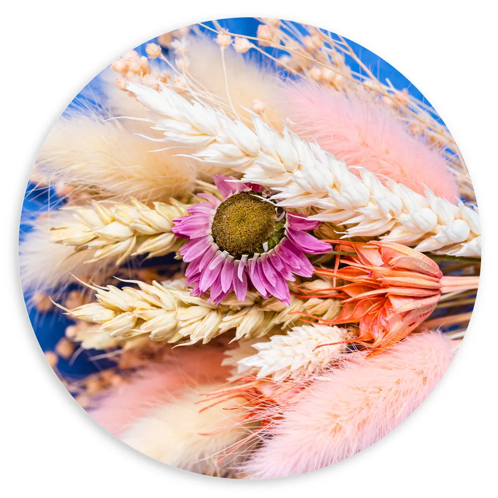 Dibond Muurcirkel - Boeket van Gedroogde Bloemen op Blauwe Achtergrond