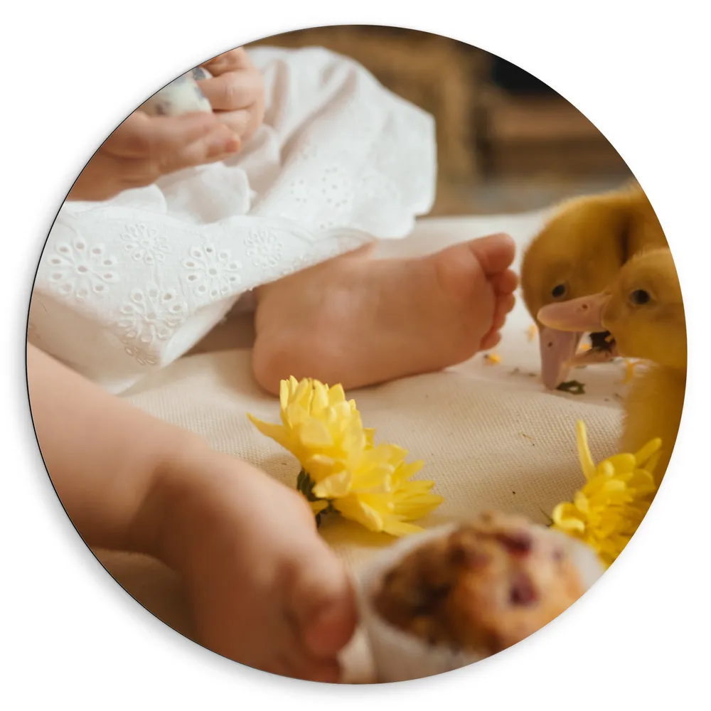 Dibond Muurcirkel - Baby - Voetjes - Jurkje - Bloemen - Cakejes - Dieren - Eendjes