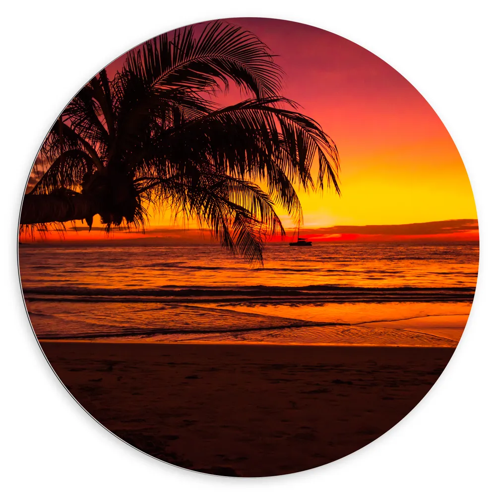 Dibond Muurcirkel - Silhouet van Palmboom Hangend over het Strand tijdens Rozekleurige Zonsondergang