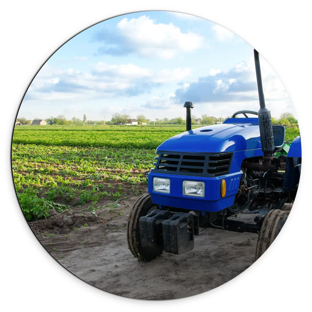 Dibond Muurcirkel - Blauwe Traktor geparkeerd langs Weiland vol Gewassen onder Schapen Bewolking