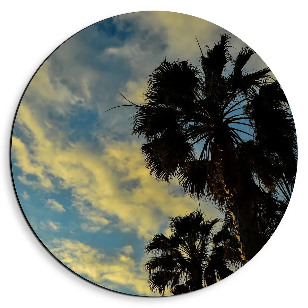 Dibond Muurcirkel - Tropische Palmbomen onder Blauwe Lucht Vol Schapenwolken