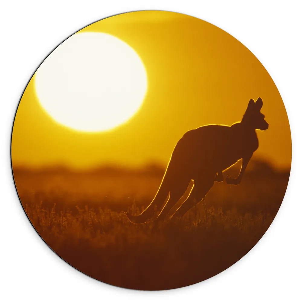 Dibond Muurcirkel - Zonsondergang Silhouet van een Kangoeroe