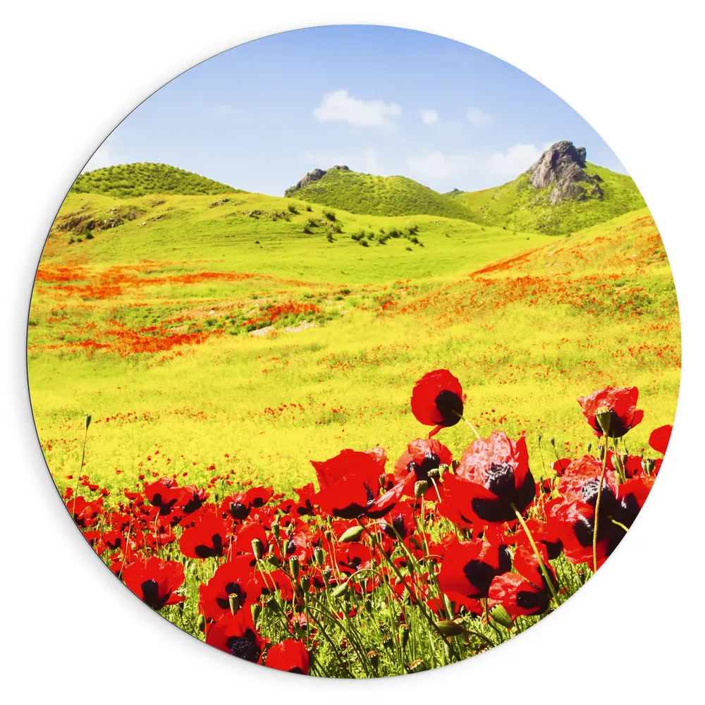 Dibond Muurcirkel - Groep Rode Bloemen in Heuvellandschap