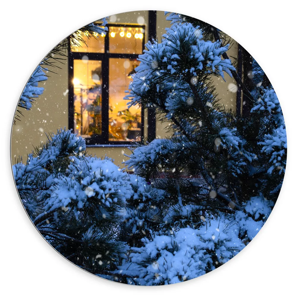 Dibond Muurcirkel - Raam - Huis - Boompjes - Sneeuw