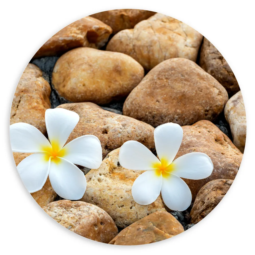 Dibond Muurcirkel - Bloemen - Stenen