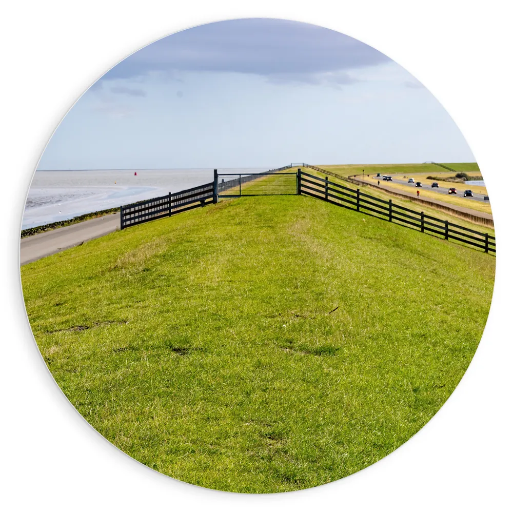 Dibond Muurcirkel - Dijk met Koeien langs de Noordzee in Nederland
