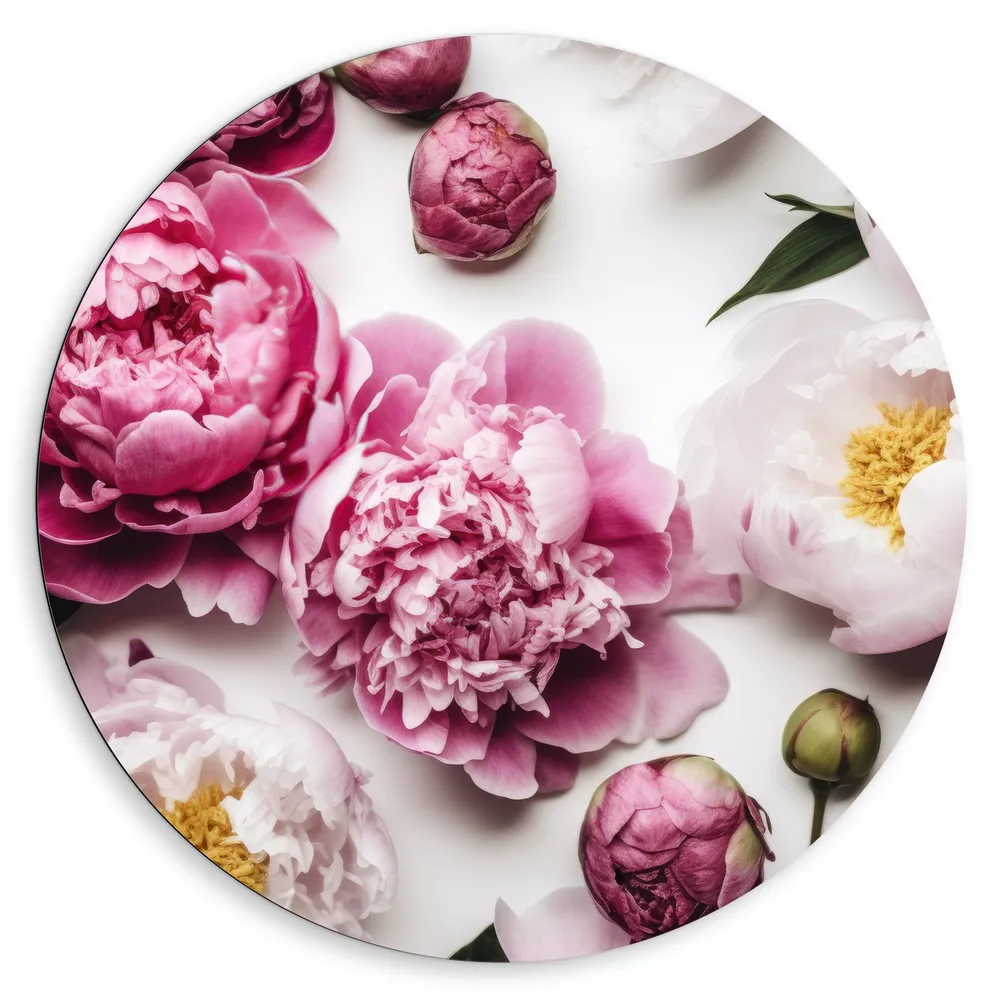 Dibond Muurcirkel - Mix van Roze en Witte Bloemen op Witte Achtergrond