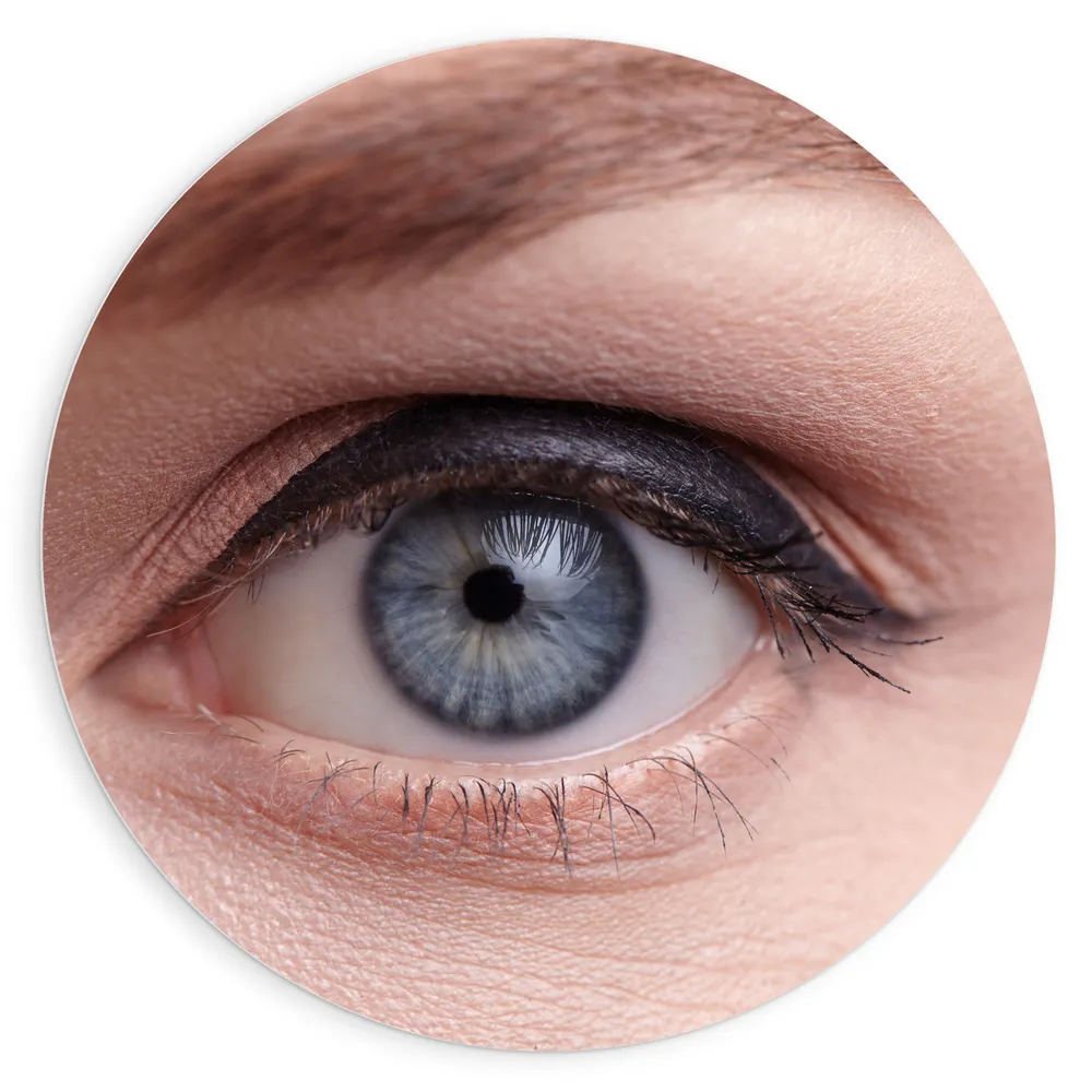 Dibond Muurcirkel - Close-up van Opgemaakt Blauwkleurig oog