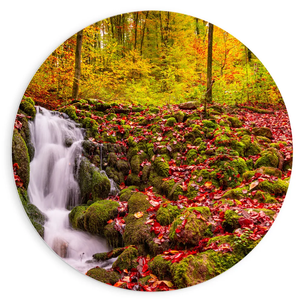 Dibond Muurcirkel - Waterval in Herfstachtig Bos