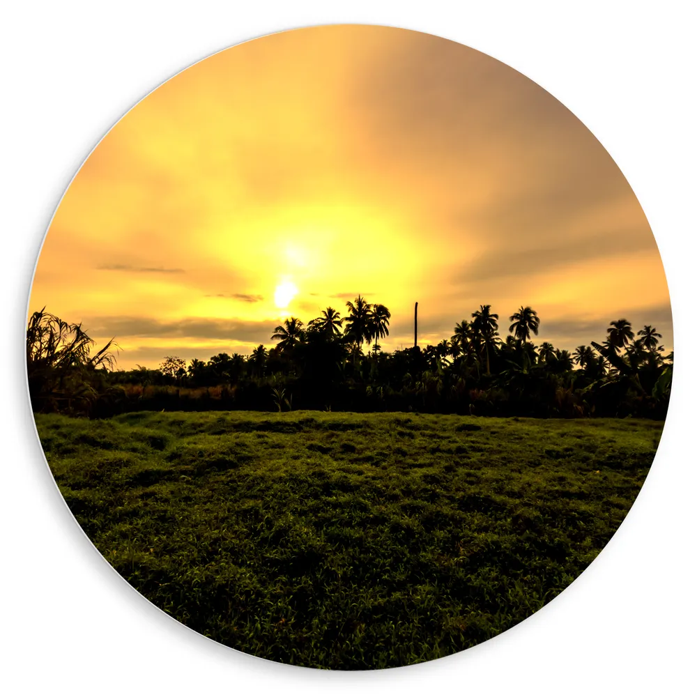 Dibond Muurcirkel - Grasveld voor Zon verdwijnend achter Palmbomen