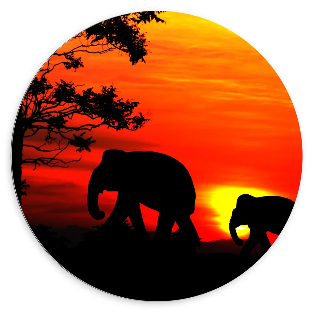 Dibond Muurcirkel - Silhouet van Olifant met Jong Lopend door het Landschap