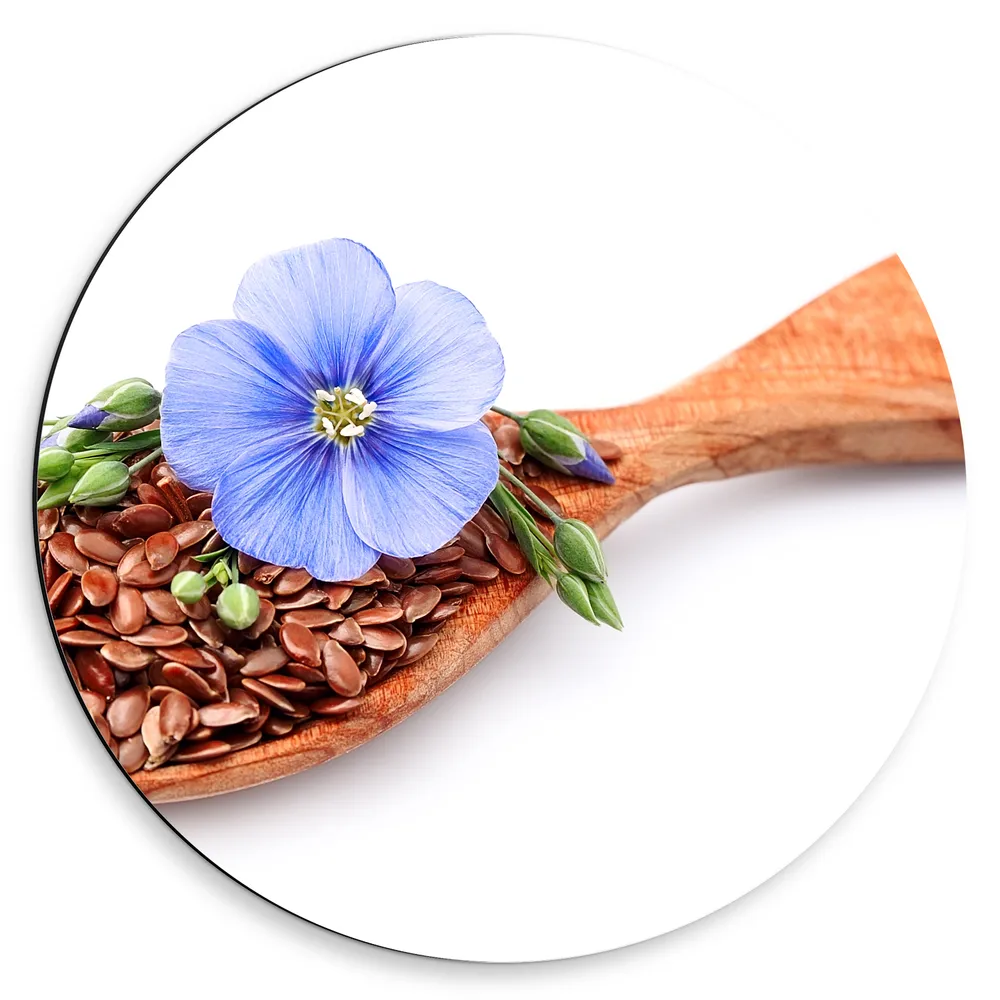 Dibond Muurcirkel - Houten Lepel met Bloemzaden en Blauw Bloempje op Witte Achtergrond