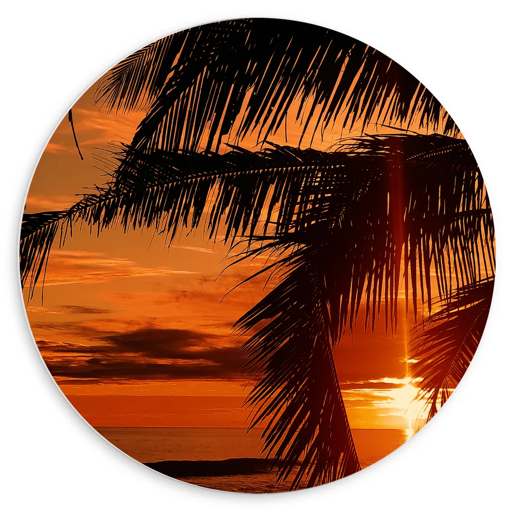 Dibond Muurcirkel - Silhouet van Grote Palmbladeren bij Feloranje Zonsondergang